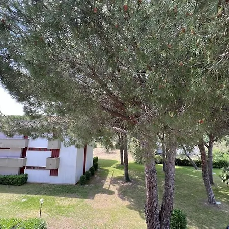 Marina Del Marina di Bibbona
